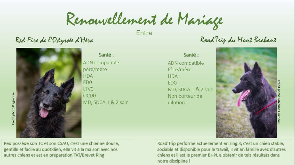 Renouvellement de Mariage 